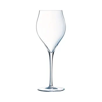 Chef & Sommelier Exaltation / Villeneuve Flute 10.25 Oz - Set of 24