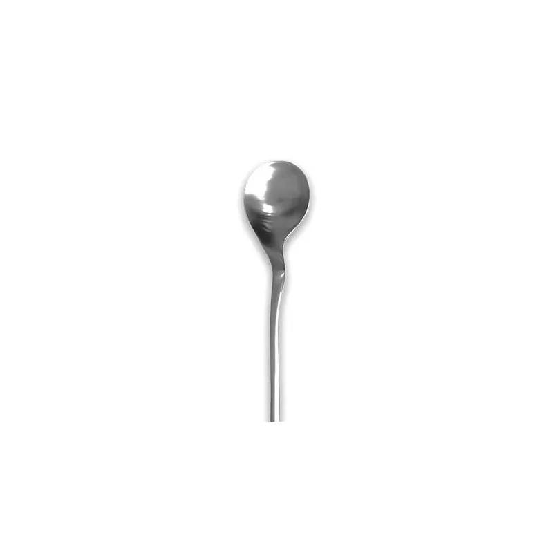 Rama Premium Stainless Spoon - 21 x 4.5 x 2 cm - Set of 12