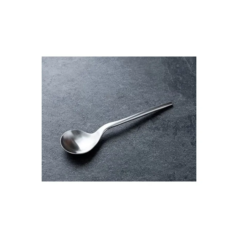 Rama Premium Stainless Spoon - 21 x 4.5 x 2 cm - Set of 12