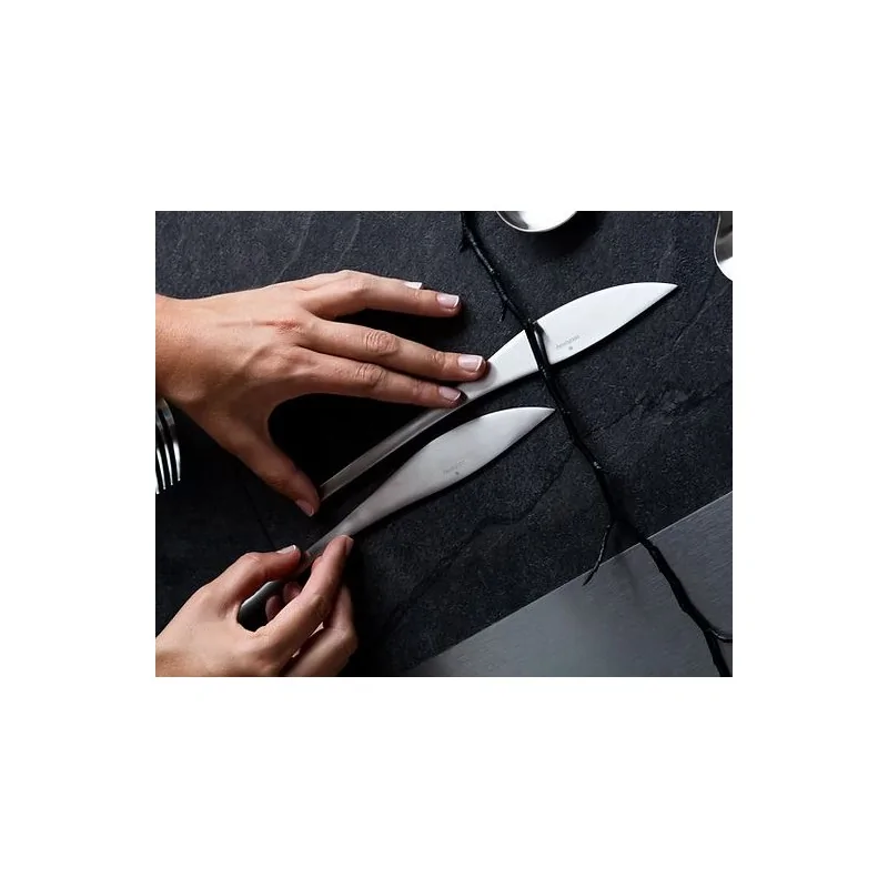 Rama Premium Stainless Table Knife - 23.5 x 2.5 x 0.7 cm - Set of 12 Rama Premium Stainless Table Knife - 23.5 x 2.5 x 0.7 cm - Set of 12