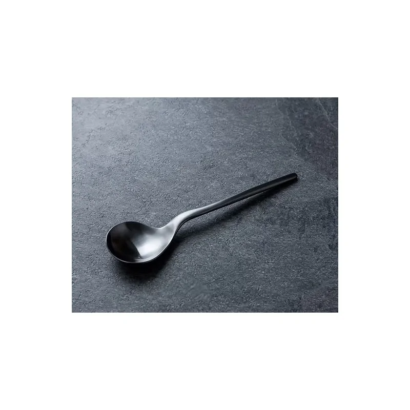 Rama Premium Black Titanium Spoon - 21 x 4.5 x 2 cm - Set of 12