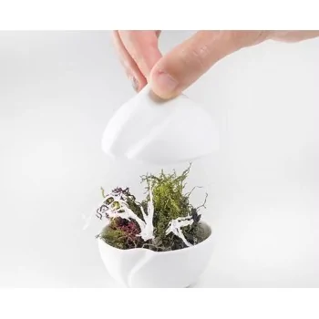 The Tablet Modern Porcelain Spherical Bowl - 7 x 7 x 7.7 cm - Set of 6