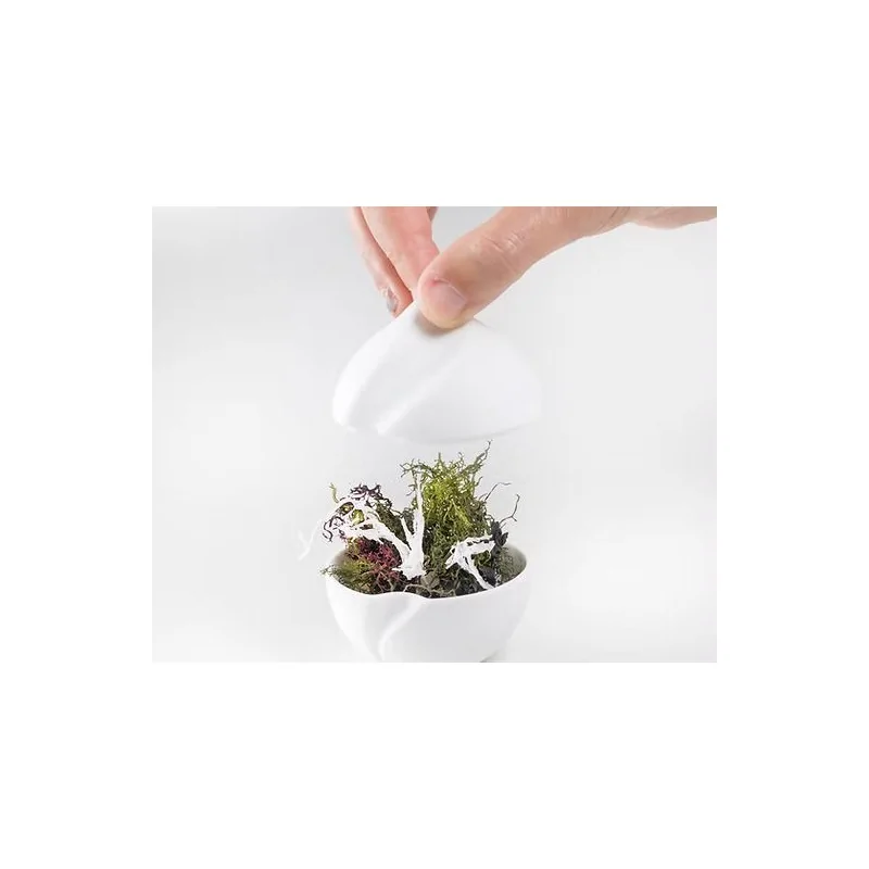 The Tablet Modern Porcelain Spherical Bowl - 7 x 7 x 7.7 cm - Set of 6