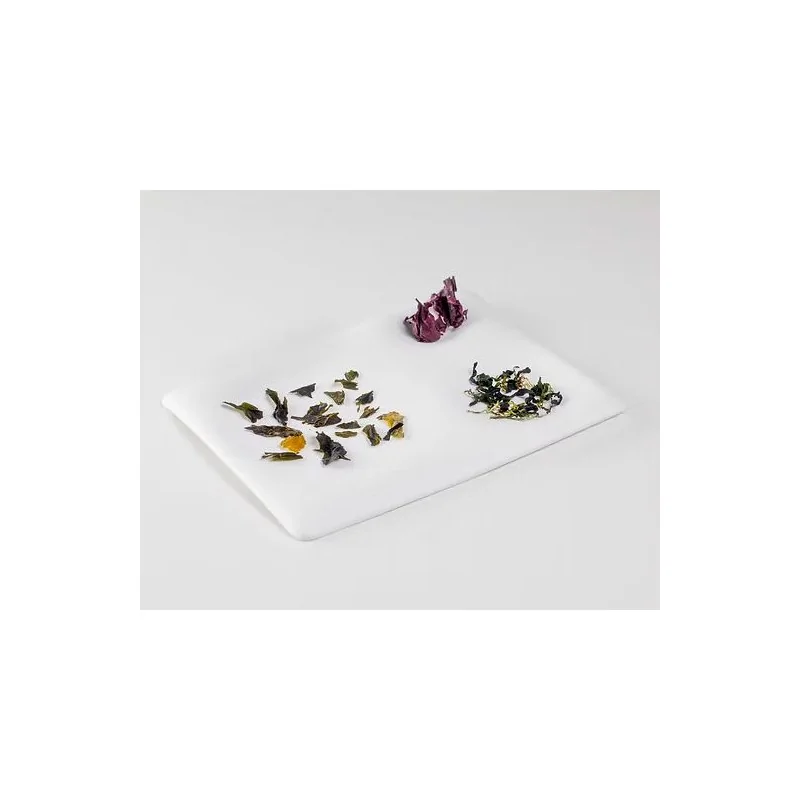 The Tablet Rectangular Modern Porcelain Dining Plate - 25 x 20.5 x 1.5 cm - Set of 6 The Tablet Rectangular Modern Porcelain Dining Plate - 25 x 20.5 x 1.5 cm - Set of 6