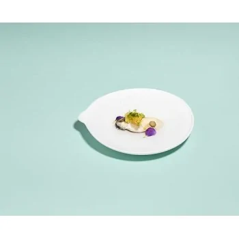 The Tablet Modern Porcelain Curved Saucer - 16 x 17.8 x 2.2 cm - Set of 4
