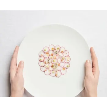 Shell Curved Dinner Plate - Glazed - 27.5 x 28.5 x 2.5 cm - Set of 4