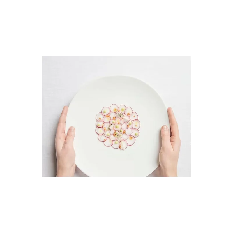 Shell Curved Dinner Plate - Glazed - 27.5 x 28.5 x 2.5 cm - Set of 4 Shell Curved Dinner Plate - Glazed - 27.5 x 28.5 x 2.5 cm - Set of 4