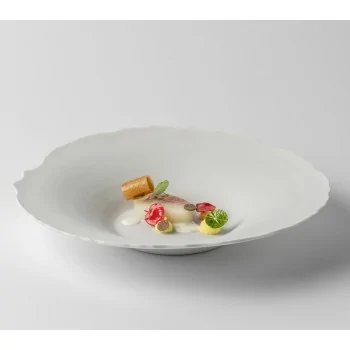 Handcrafted Fine Porcelain Gourmet Bowl 28 cm - Height 4.5 cm - Set of 4