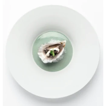 Handcrafted Fine Porcelain Gourmet Bowl Seafoam 28 cm - Height 4.5 cm - Set of 4