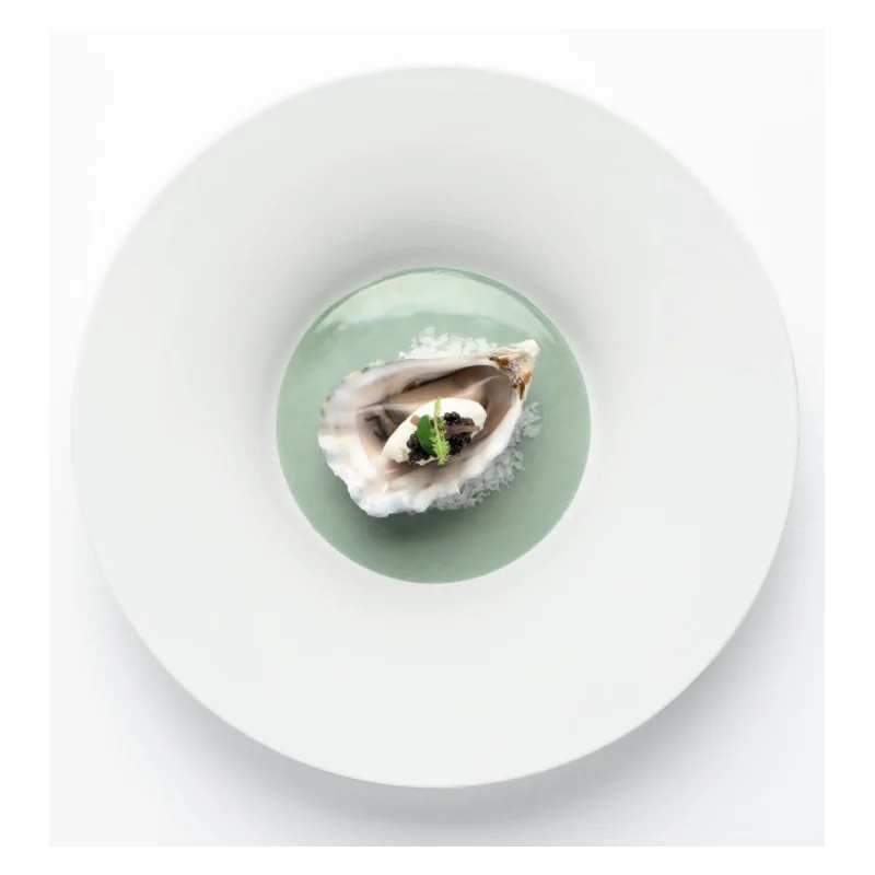 Handcrafted Fine Porcelain Gourmet Bowl Seafoam 28 cm - Height 4.5 cm - Set of 4 Handcrafted Fine Porcelain Gourmet Bowl Seafoam 28 cm - Height 4.5 cm - Set of 4