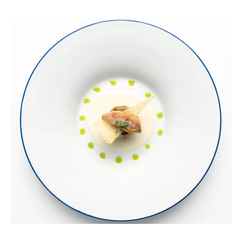 Handcrafted Fine Porcelain Gourmet Bowl Blue Line 28 cm - Height 4.5 cm - Set of 4 Handcrafted Fine Porcelain Gourmet Bowl Blue Line 28 cm - Height 4.5 cm - Set of 4