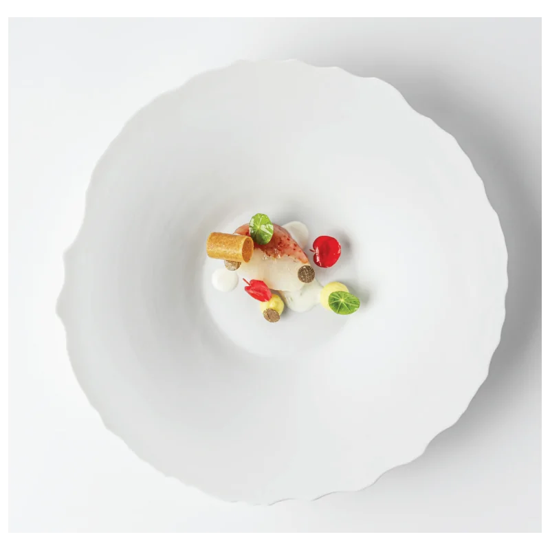 Handcrafted Fine Porcelain Gourmet Bowl 28 cm - Height 4.5 cm - Set of 4