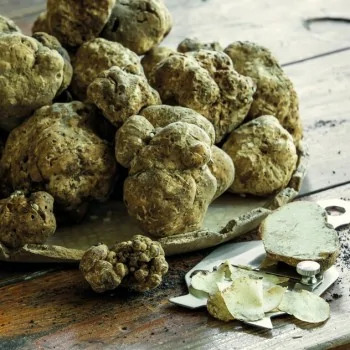 Truffle-Slicer - 6 3/4" x 3 3/8"