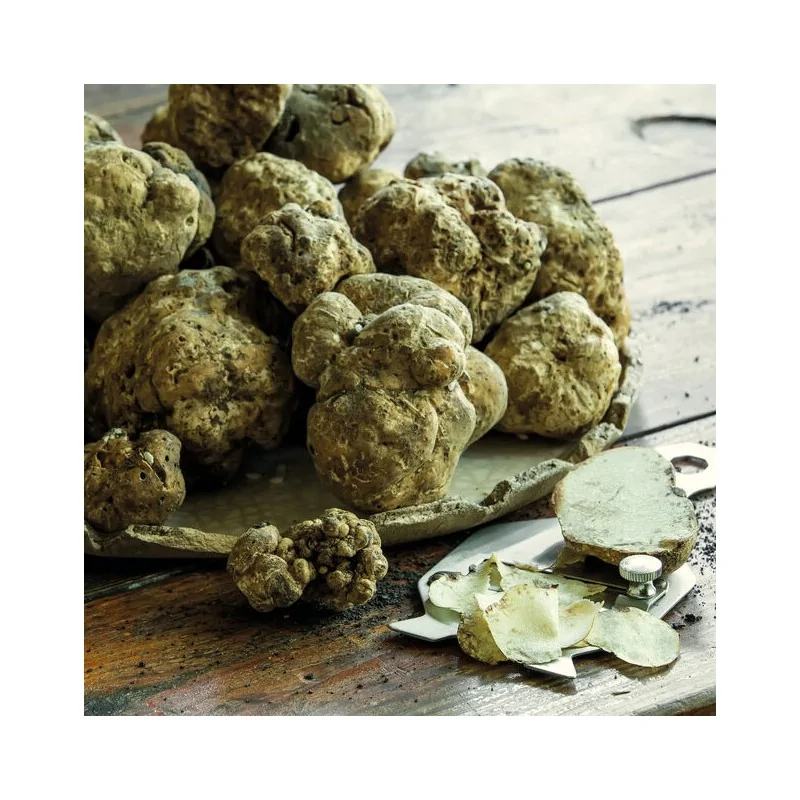 Truffle-Slicer - 6 3/4" x 3 3/8" Truffle-Slicer - 6 3/4" x 3 3/8"