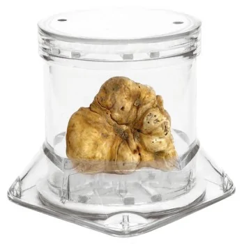 Truffle Jar - D: 2 3/8" H: 1 3/4"