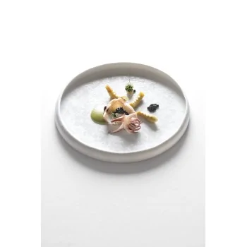 Handcrafted Fine Porcelain Gourmet Low Bowl With Internal Rim 25 cm - Height 1.7 cm - Set of 6