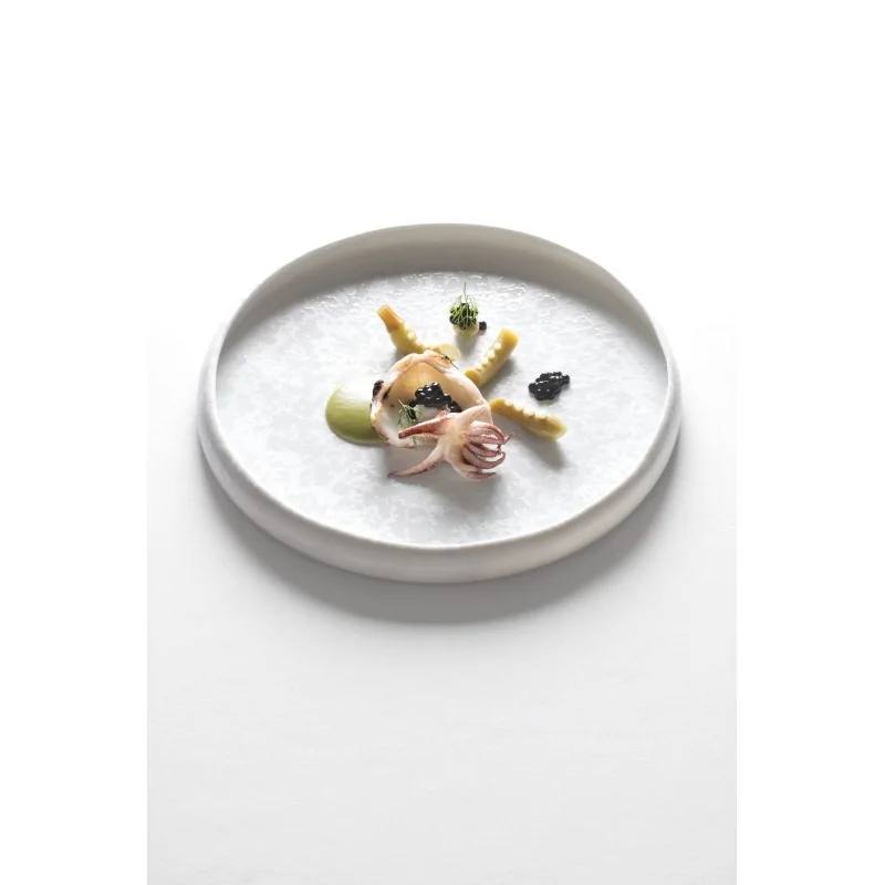 Handcrafted Fine Porcelain Gourmet Low Bowl With Internal Rim 25 cm - Height 1.7 cm - Set of 6 Handcrafted Fine Porcelain Gourmet Low Bowl With Internal Rim 25 cm - Height 1.7 cm - Set of 6