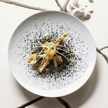 Degrenne 240503 Degrenne Modulo Arty Creation - White Round Dessert...