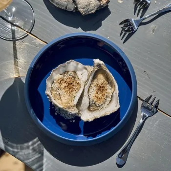 Degrenne Blois Stainless Steel Oyster Fork 130 mm - 5 ''1/8 - Pack of 12