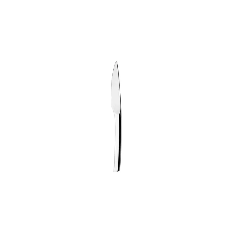 Degrenne Guest Stainless Steel Dessert Knife Solid Handle 213 mm - 8 ''3/8 - Pack of 12