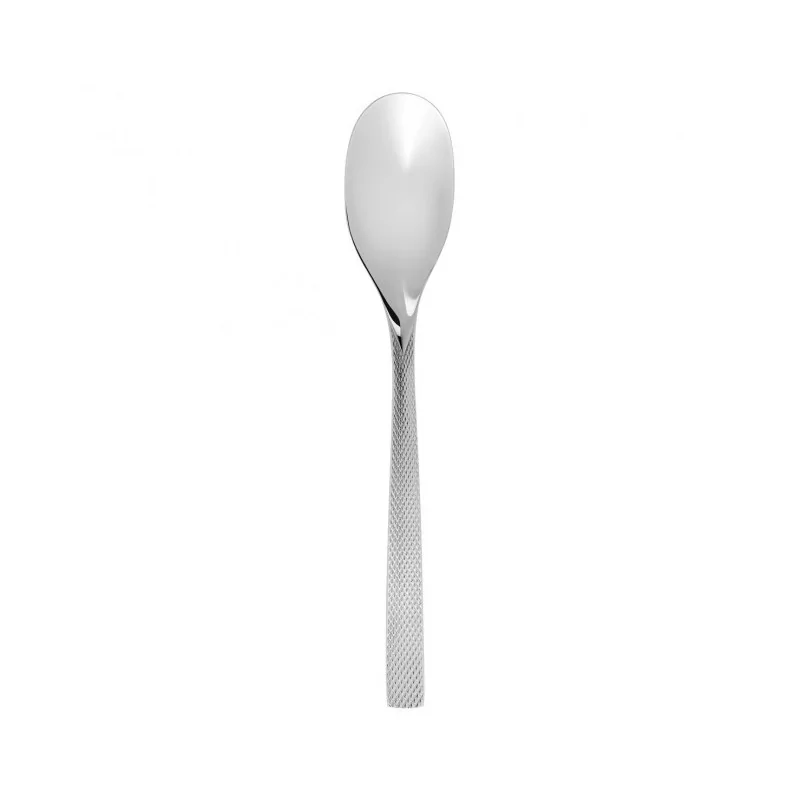 Degrenne Guest Star Stainless Steel Table Spoon 216 mm - 8 ''1/2 - Pack of 12