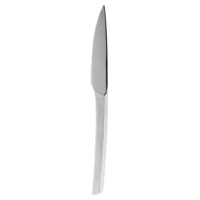 Degrenne Guest Star Stainless Steel Table Knife Solid Handle Serrated 232 mm - 9 ''1/8 - Pack of 12