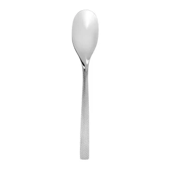 Degrenne Guest Star Stainless Steel Serving Spoon 270 mm - 10 ''5/8 - Pack of 1