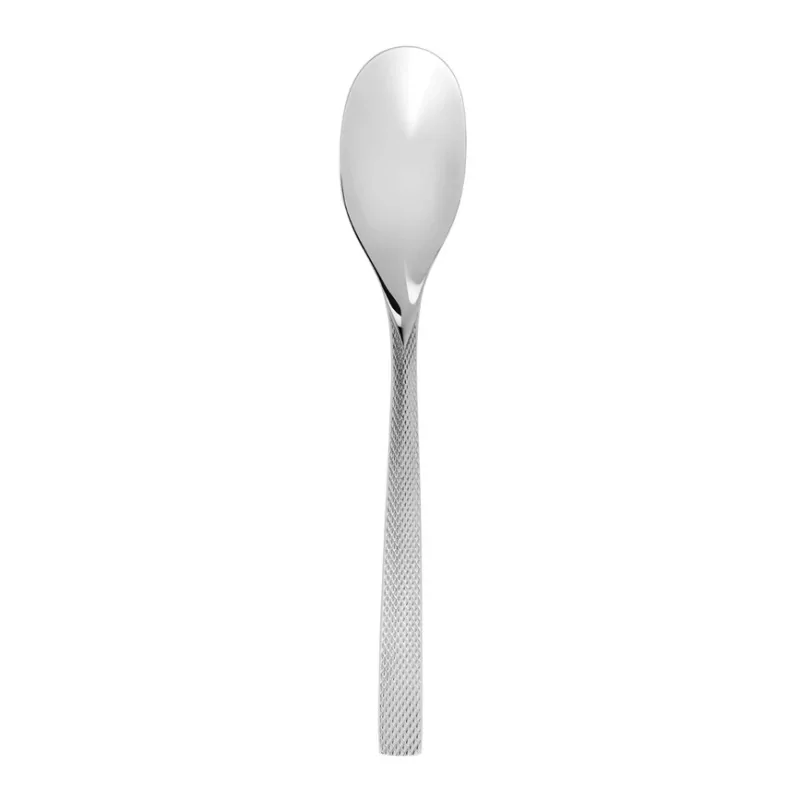 Degrenne Guest Star Stainless Steel Serving Spoon 270 mm - 10 ''5/8 - Pack of 1