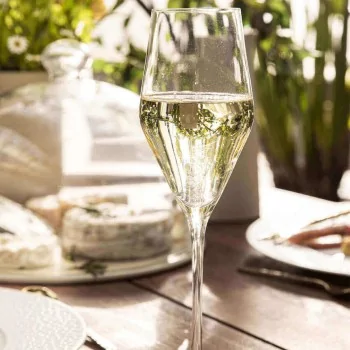 Degrenne Allure Champagne Flute 26.1 cl - Pack of 6