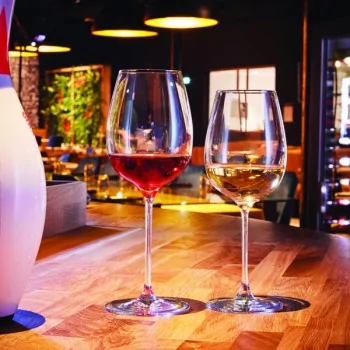 Chef & Sommelier Villeneuve, By Chef Daniel Boulud Universal 18.0 Oz - Set of 12