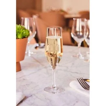 Chef & Sommelier Evidence Flute 5.5 Oz - Set of 24