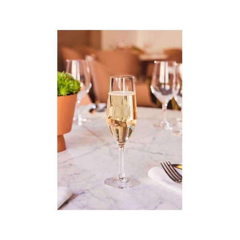 Chef & Sommelier Evidence Flute 5.5 Oz - Set of 24