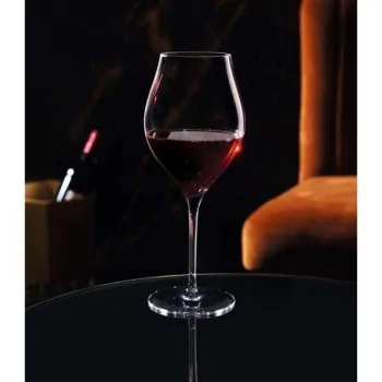 Chef & Sommelier Exaltation Universal 19.0 Oz - Set of 12