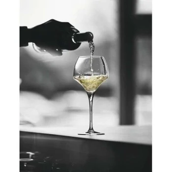 Chef & Sommelier Open Up Wine Glass 18.5 Oz - Set of 24