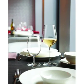 Chef & Sommelier Sequence All Purpose Goblet 14.0 Oz - Set of 12