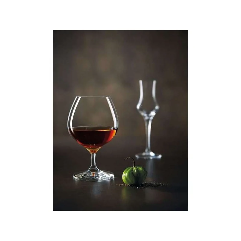 Chef & Sommelier Specialty Snifter 24.0 Oz - Set of 24