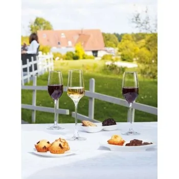 Chef & Sommelier Specialty Cordial 4.0 Oz - Set of 24