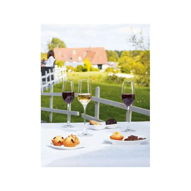 Chef & Sommelier Specialty Cordial 4.0 Oz - Set of 24