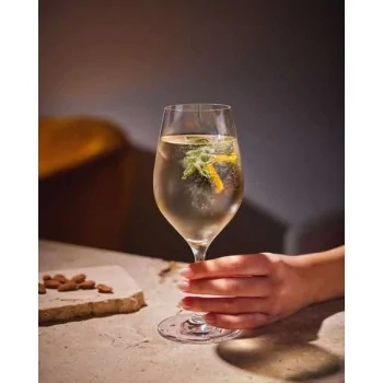 Chef & Sommelier Evidence Universal Glass 15.5 Oz - Set of 24