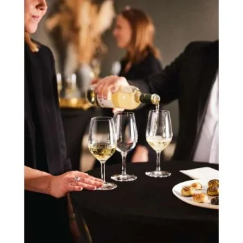 Chef & Sommelier Evidence Universal Glass 12.0 Oz - Set of 24