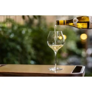 Chef & Sommelier Villeneuve, By Chef Daniel Boulud Burgundy 21.5 Oz - Set of 12