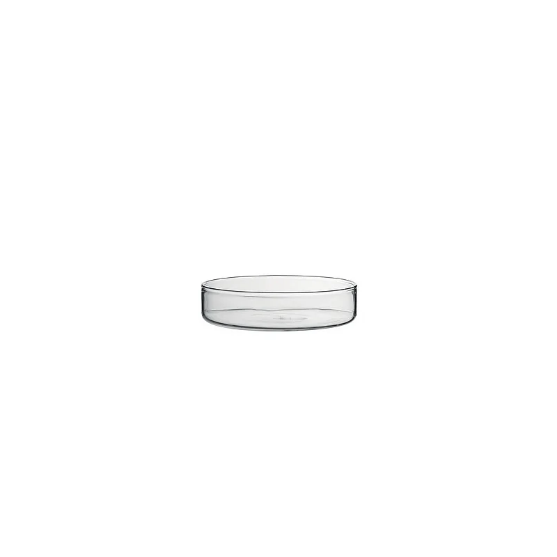 Elegant Borosilicate Glass Bowl - 10.5 cm Diam. x 2.5 cm Ht - 0.18L Capacity - Set of 12