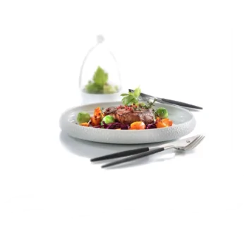 Elegant Plateau Plate/Bowl Cuspis - White China - Diam. 25 cm - Ht 2.8 cm - Capacity 0.8L