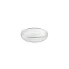 Elegant Structured Glass Coupe Plates - Set of Six (25 cm Diam.)