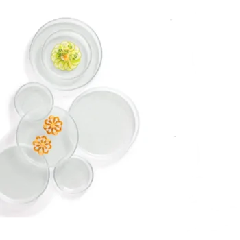 Elegant Structured Glass Coupe Plate Set - Premium - 6 Pieces - Diam. 21.5 cm