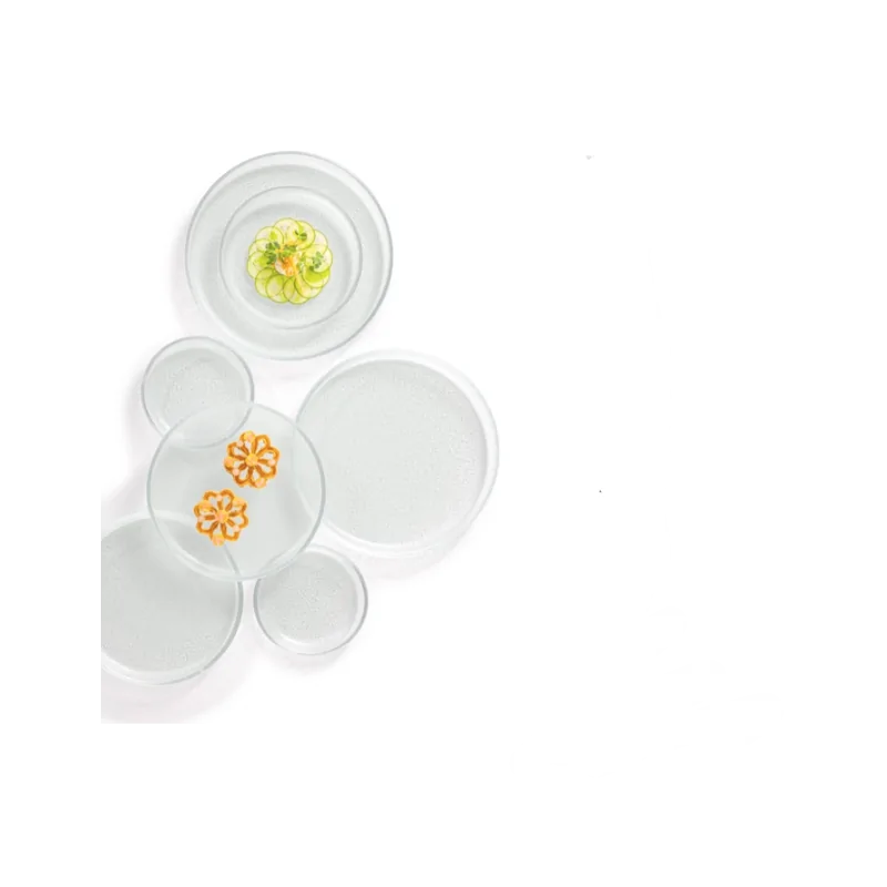 Elegant Structured Glass Coupe Plate Set - Premium - 6 Pieces - Diam. 21.5 cm