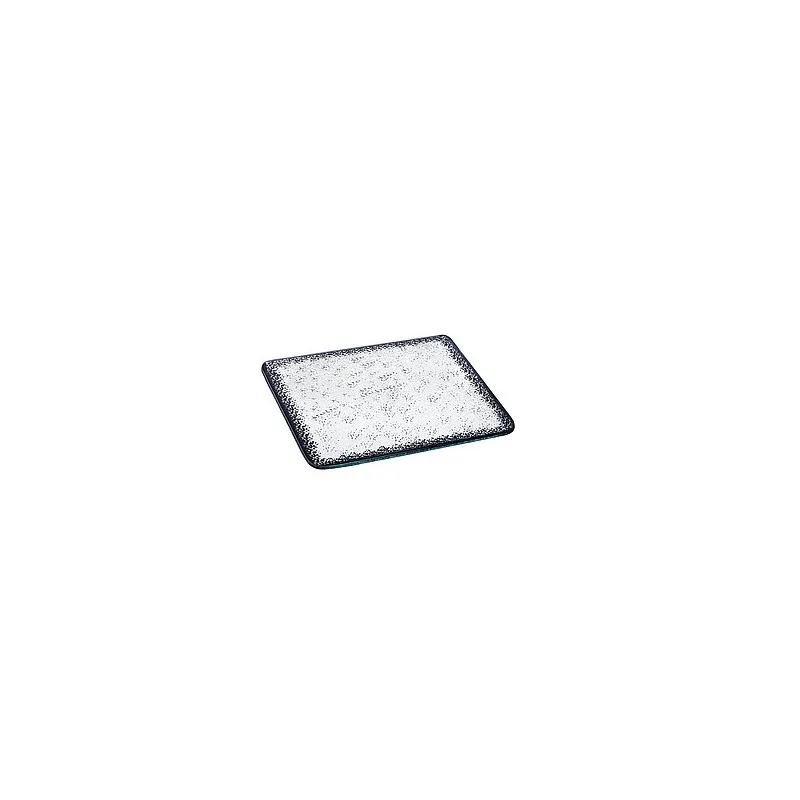 Elegant Ombra Buffet Platter - Glass - Clear - Black Decor - 34 x 34 x 0.6 cm