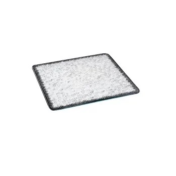 Elegant Ombra Buffet Platter - Glass - Clear - Black Decor - 50x50x0.6 cm