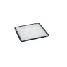 Elegant Ombra Buffet Platter - Glass - Clear - Black Decor - 42x42x0.6 cm