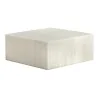 Elegant Resin Display Case - Classy Buffet Style - White Translucent - 38 x 38 x 16 cm